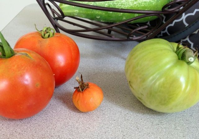  photo IMG_5488_zps653768fe.jpg